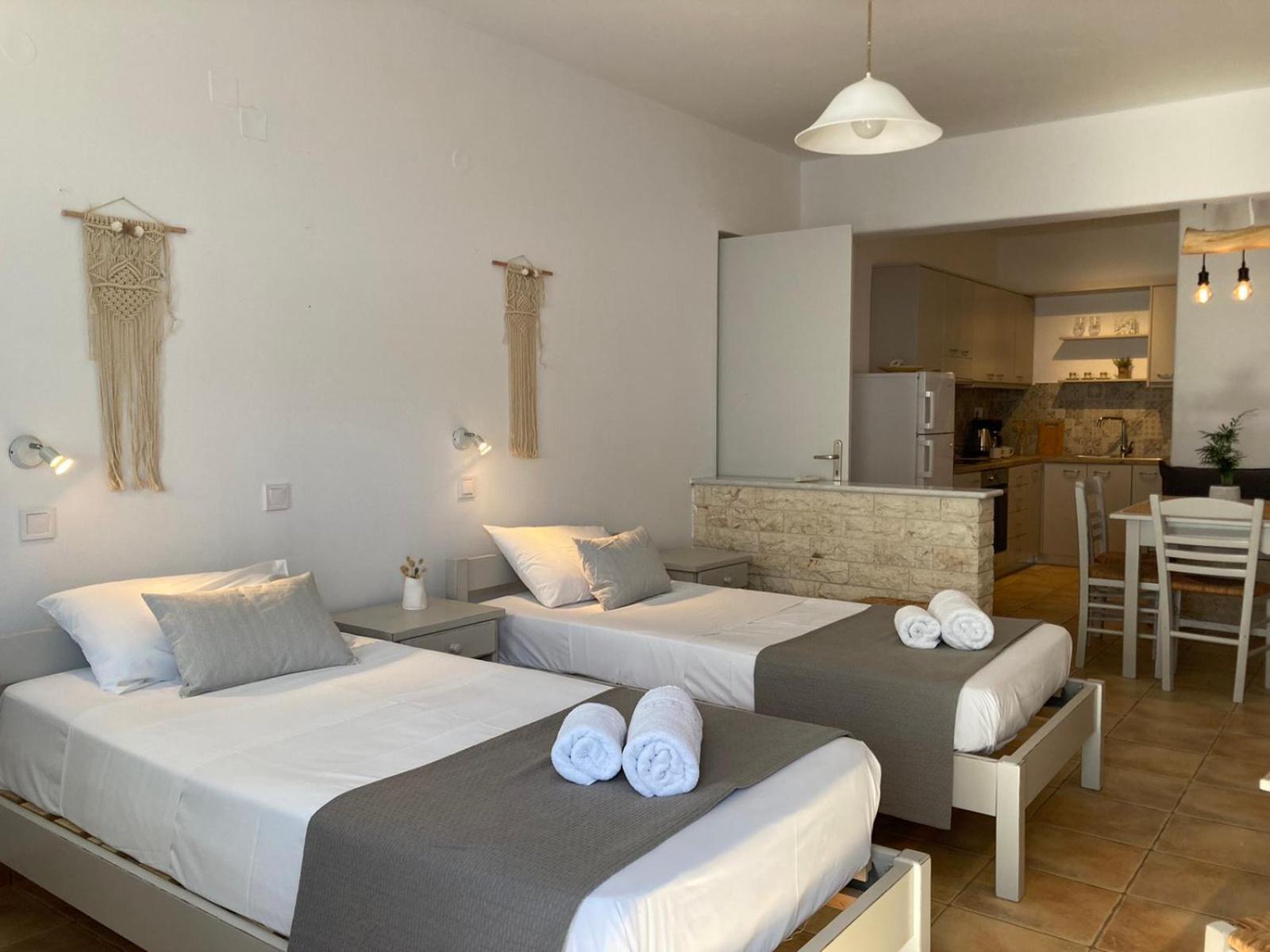 Helen'S Minimal Studios & Apartments Αλυκή Δωμάτιο φωτογραφία