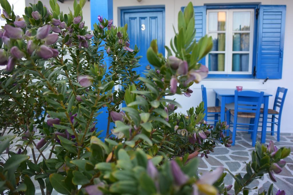Helen'S Minimal Studios & Apartments Αλυκή Εξωτερικό φωτογραφία